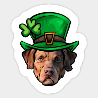 St Patricks Day Chesapeake Bay Retriever Sticker